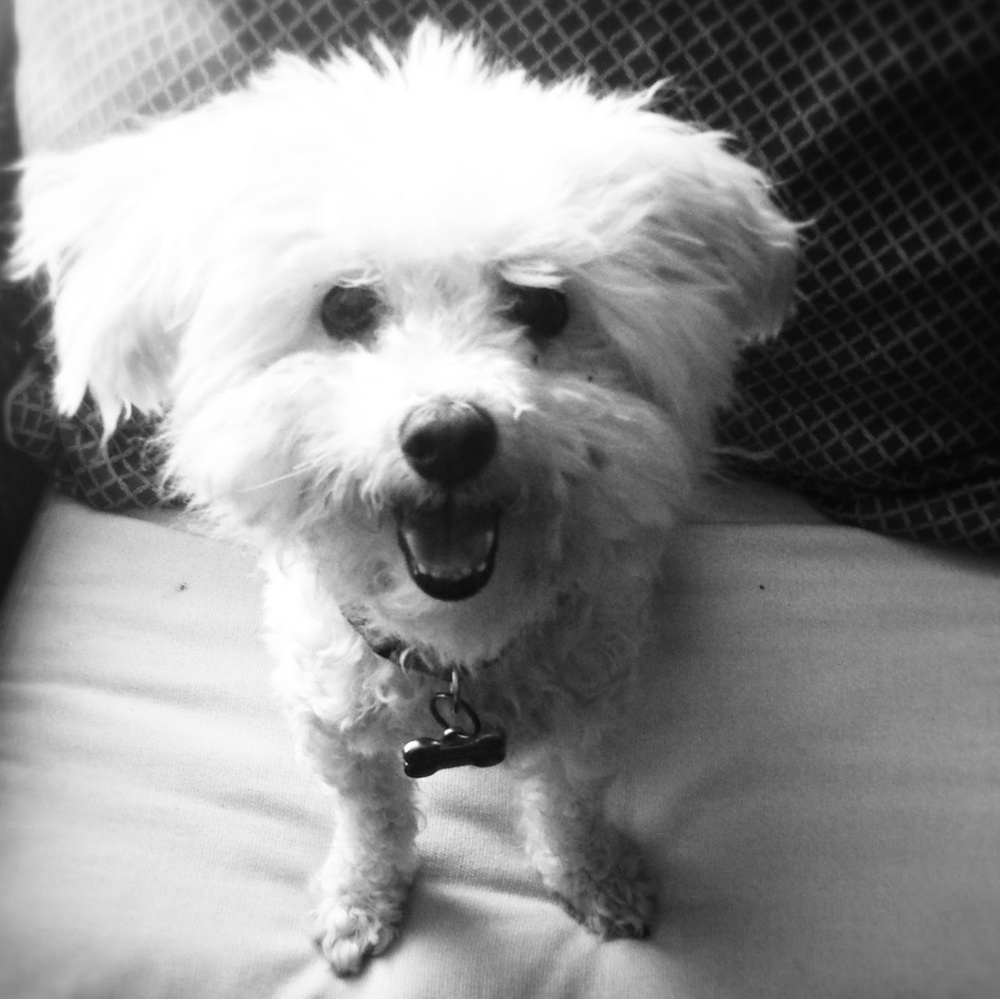 Meet your Posher, Patricia